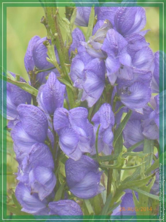 Philosophische Bildwanderung – eine Zeitreise Gardasee - Riva del Garda - Malcesine - Monte Baldo – Sirmione - Grotta Cascata del Varonel - Abschied über Ledrosee