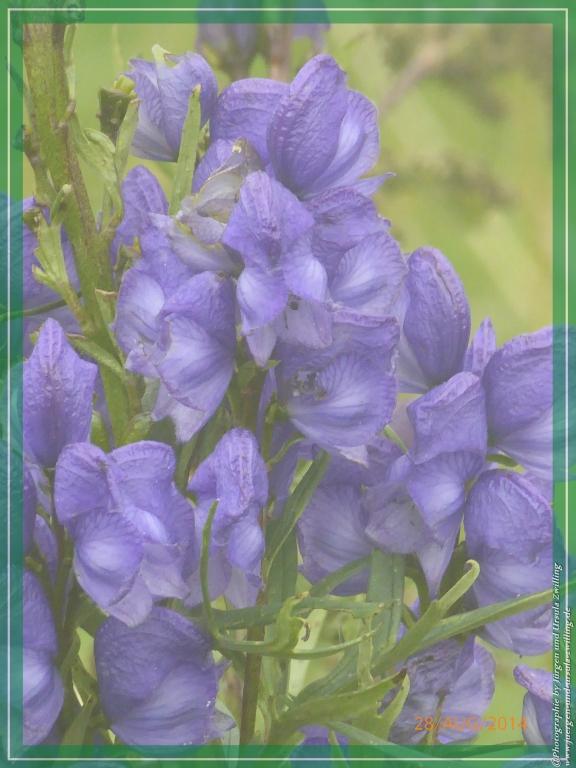 Philosophische Bildwanderung – eine Zeitreise Gardasee - Riva del Garda - Malcesine - Monte Baldo – Sirmione - Grotta Cascata del Varonel - Abschied über Ledrosee