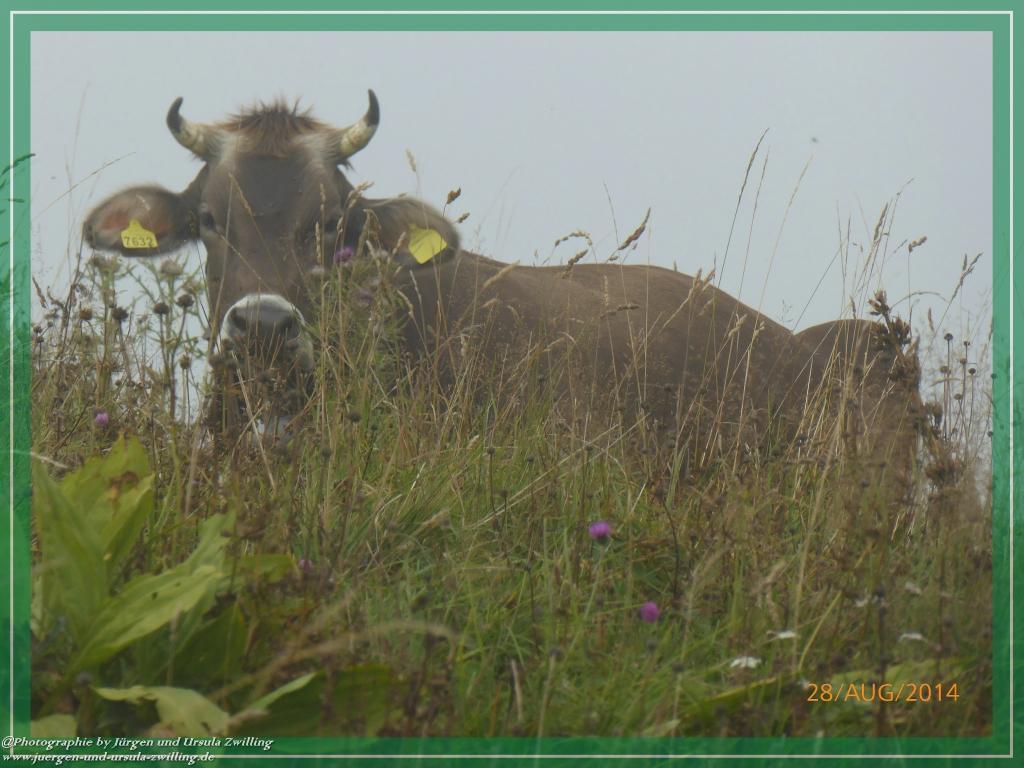 Philosophische Bildwanderung – eine Zeitreise Gardasee - Riva del Garda - Malcesine - Monte Baldo – Sirmione - Grotta Cascata del Varonel - Abschied über Ledrosee