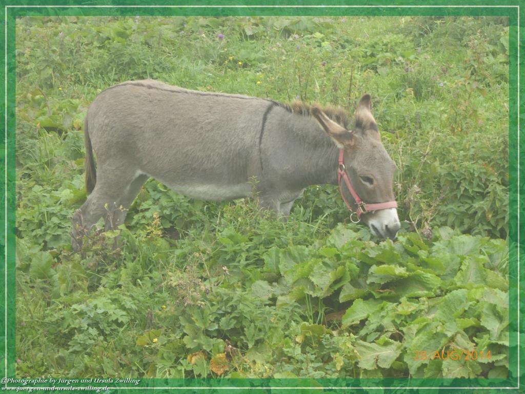 Philosophische Bildwanderung – eine Zeitreise Gardasee - Riva del Garda - Malcesine - Monte Baldo – Sirmione - Grotta Cascata del Varonel - Abschied über Ledrosee