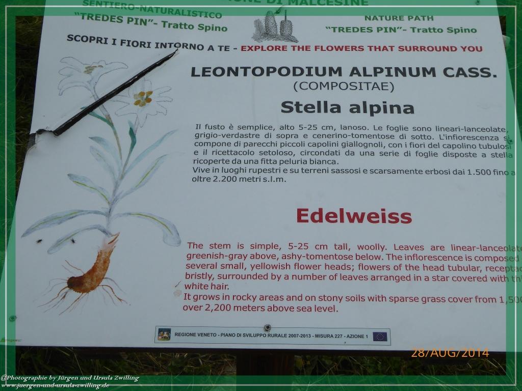 Philosophische Bildwanderung – eine Zeitreise Gardasee - Riva del Garda - Malcesine - Monte Baldo – Sirmione - Grotta Cascata del Varonel - Abschied über Ledrosee