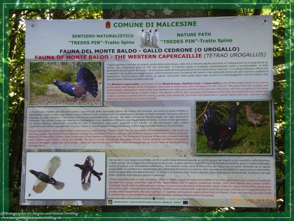 Philosophische Bildwanderung – eine Zeitreise Gardasee - Riva del Garda - Malcesine - Monte Baldo – Sirmione - Grotta Cascata del Varonel - Abschied über Ledrosee