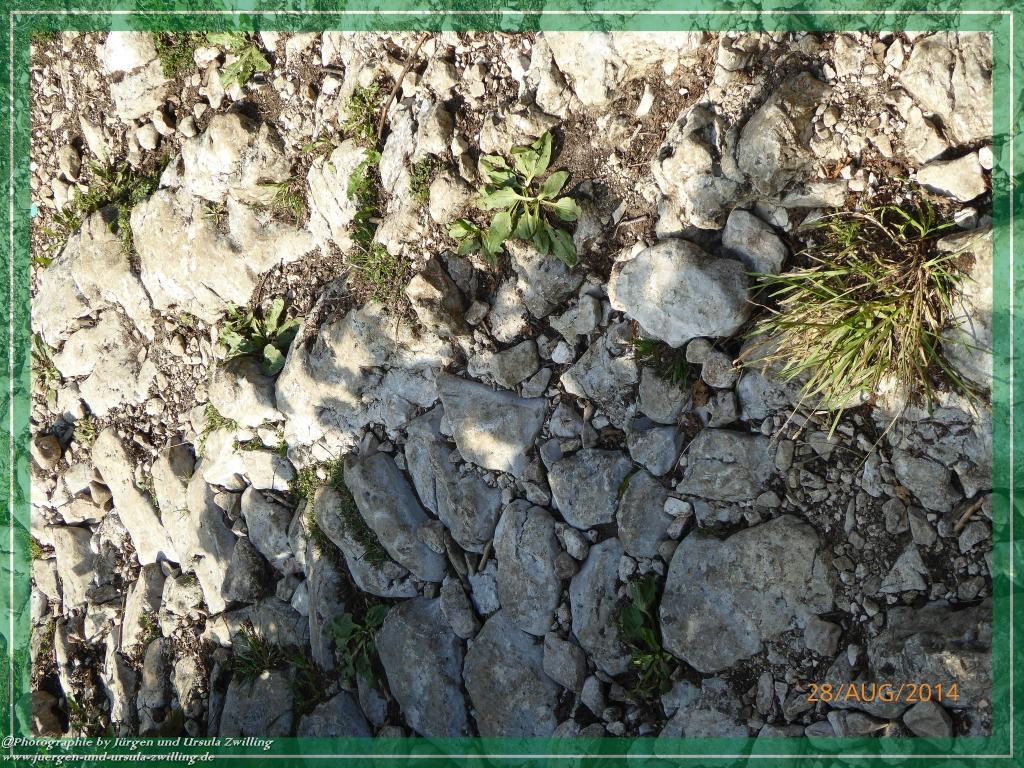 Philosophische Bildwanderung – eine Zeitreise Gardasee - Riva del Garda - Malcesine - Monte Baldo – Sirmione - Grotta Cascata del Varonel - Abschied über Ledrosee