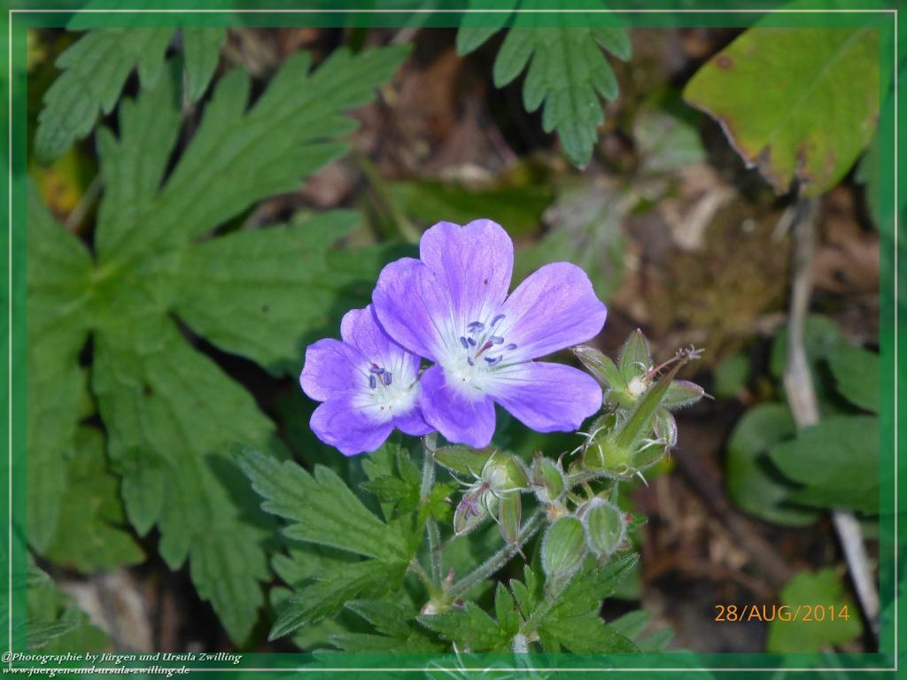 Philosophische Bildwanderung – eine Zeitreise Gardasee - Riva del Garda - Malcesine - Monte Baldo – Sirmione - Grotta Cascata del Varonel - Abschied über Ledrosee