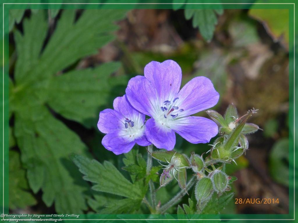 Philosophische Bildwanderung – eine Zeitreise Gardasee - Riva del Garda - Malcesine - Monte Baldo – Sirmione - Grotta Cascata del Varonel - Abschied über Ledrosee