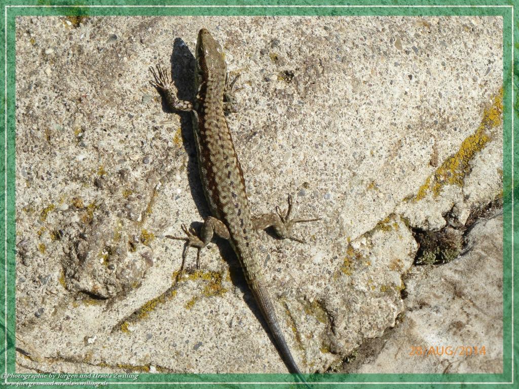 Philosophische Bildwanderung – eine Zeitreise Gardasee - Riva del Garda - Malcesine - Monte Baldo – Sirmione - Grotta Cascata del Varonel - Abschied über Ledrosee