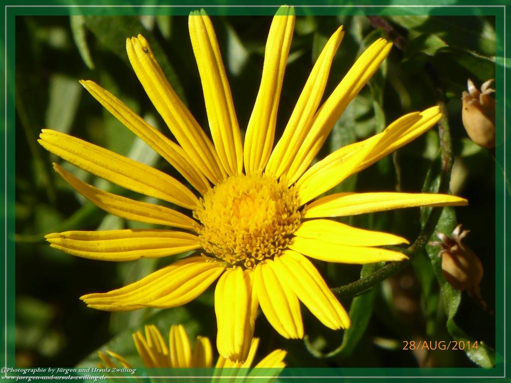 Philosophische Bildwanderung – eine Zeitreise Gardasee - Riva del Garda - Malcesine - Monte Baldo – Sirmione - Grotta Cascata del Varonel - Abschied über Ledrosee