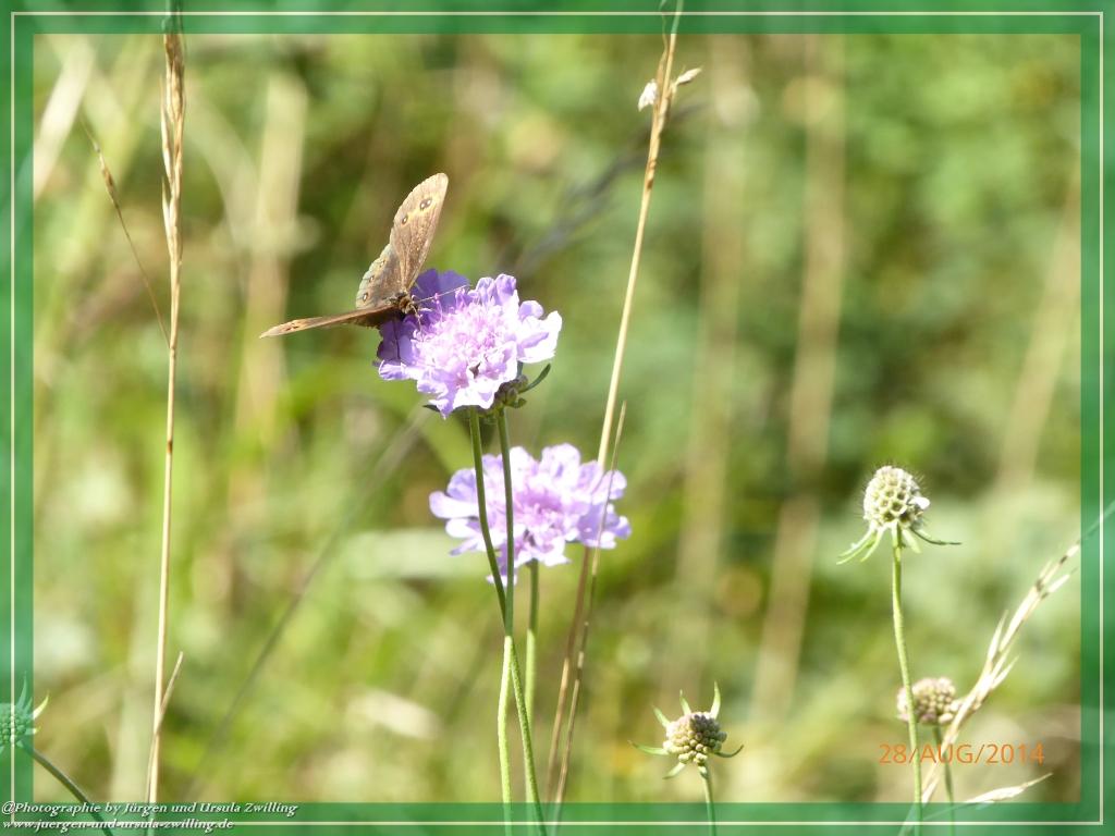 Philosophische Bildwanderung – eine Zeitreise Gardasee - Riva del Garda - Malcesine - Monte Baldo – Sirmione - Grotta Cascata del Varonel - Abschied über Ledrosee