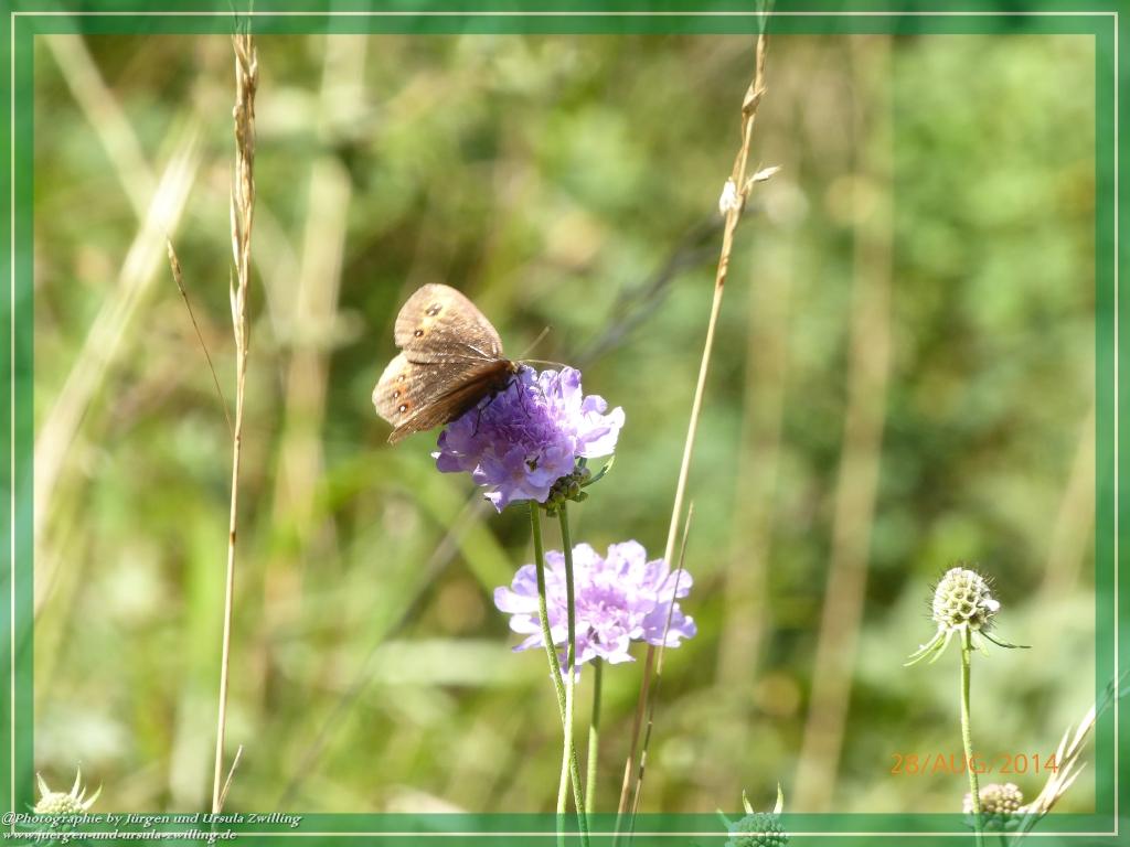 Philosophische Bildwanderung – eine Zeitreise Gardasee - Riva del Garda - Malcesine - Monte Baldo – Sirmione - Grotta Cascata del Varonel - Abschied über Ledrosee