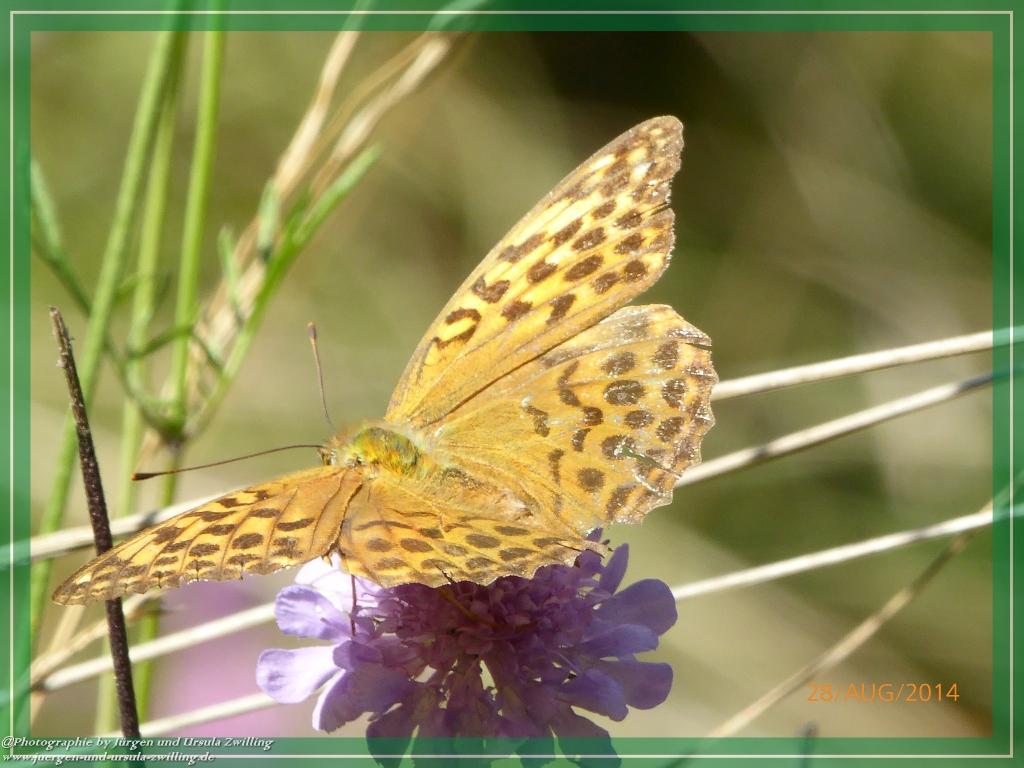 Philosophische Bildwanderung – eine Zeitreise Gardasee - Riva del Garda - Malcesine - Monte Baldo – Sirmione - Grotta Cascata del Varonel - Abschied über Ledrosee