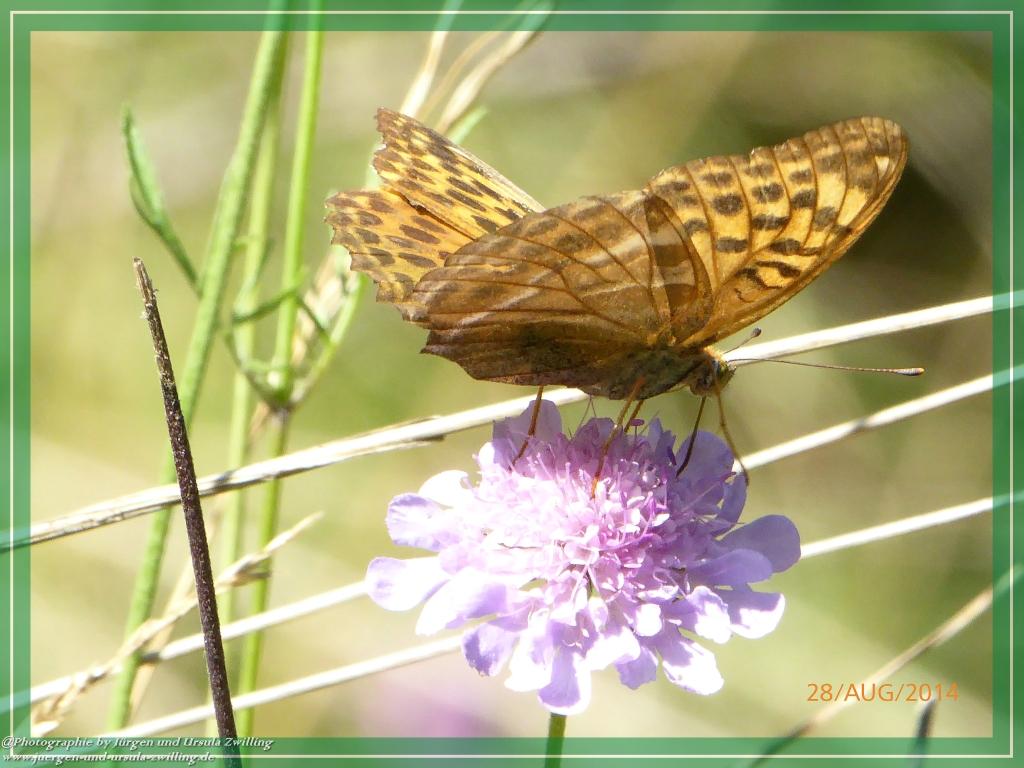 Philosophische Bildwanderung – eine Zeitreise Gardasee - Riva del Garda - Malcesine - Monte Baldo – Sirmione - Grotta Cascata del Varonel - Abschied über Ledrosee