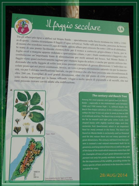 Philosophische Bildwanderung – eine Zeitreise Gardasee - Riva del Garda - Malcesine - Monte Baldo – Sirmione - Grotta Cascata del Varonel - Abschied über Ledrosee