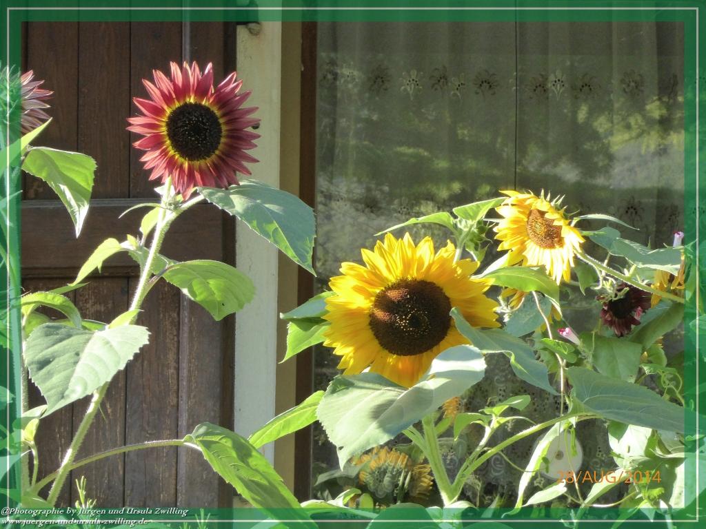 Philosophische Bildwanderung – eine Zeitreise Gardasee - Riva del Garda - Malcesine - Monte Baldo – Sirmione - Grotta Cascata del Varonel - Abschied über Ledrosee