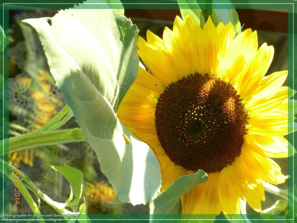 Philosophische Bildwanderung – eine Zeitreise Gardasee - Riva del Garda - Malcesine - Monte Baldo – Sirmione - Grotta Cascata del Varonel - Abschied über Ledrosee