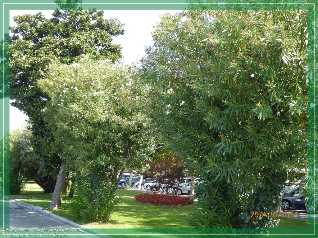 Philosophische Bildwanderung – eine Zeitreise Gardasee - Riva del Garda - Malcesine - Monte Baldo – Sirmione - Grotta Cascata del Varonel - Abschied über Ledrosee