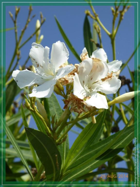 Philosophische Bildwanderung – eine Zeitreise Gardasee - Riva del Garda - Malcesine - Monte Baldo – Sirmione - Grotta Cascata del Varonel - Abschied über Ledrosee