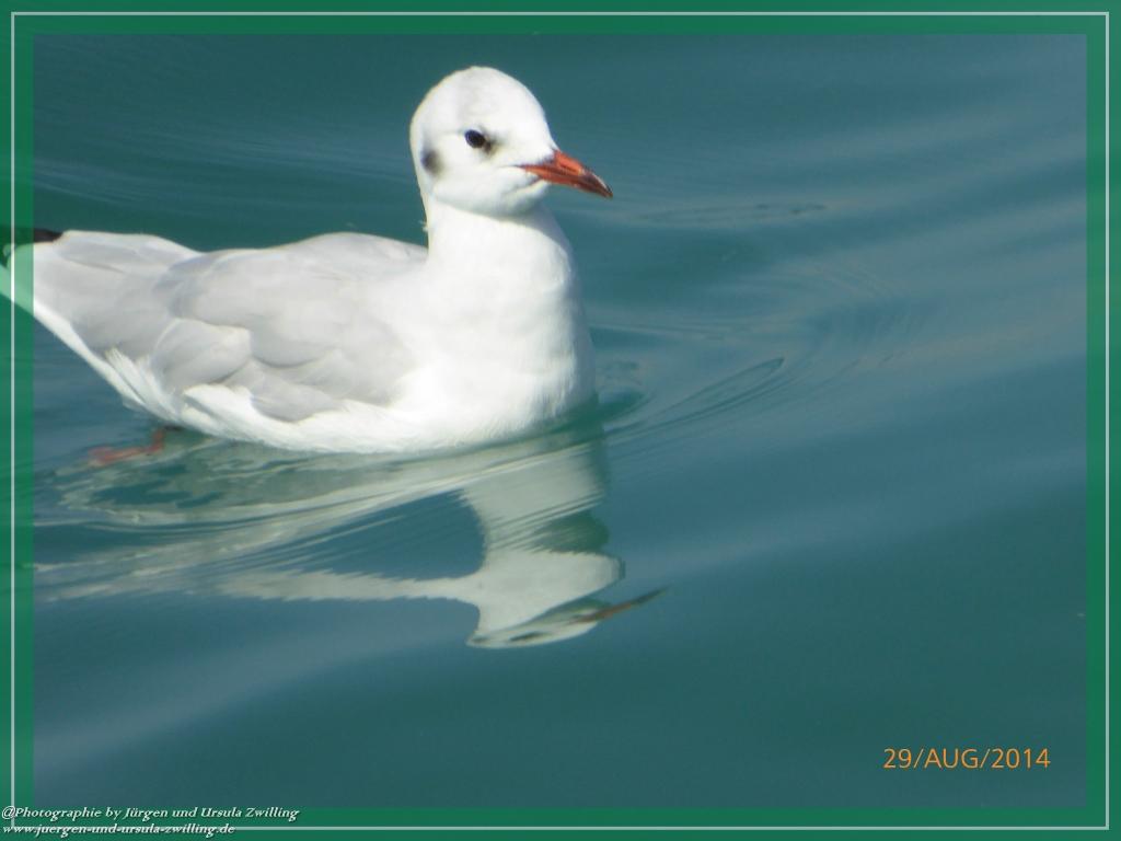 Philosophische Bildwanderung – eine Zeitreise Gardasee - Riva del Garda - Malcesine - Monte Baldo – Sirmione - Grotta Cascata del Varonel - Abschied über Ledrosee
