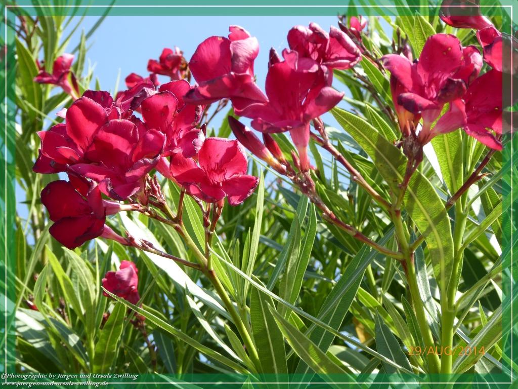 Philosophische Bildwanderung – eine Zeitreise Gardasee - Riva del Garda - Malcesine - Monte Baldo – Sirmione - Grotta Cascata del Varonel - Abschied über Ledrosee