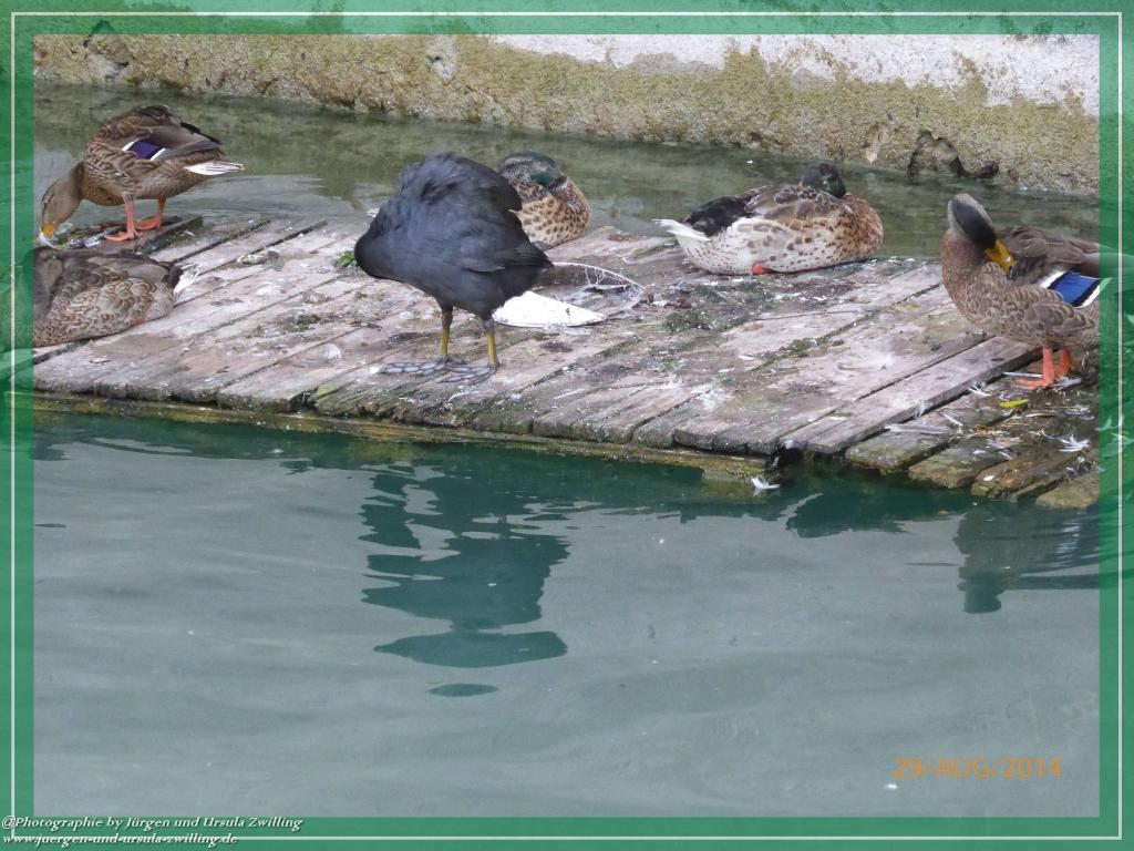 Philosophische Bildwanderung – eine Zeitreise Gardasee - Riva del Garda - Malcesine - Monte Baldo – Sirmione - Grotta Cascata del Varonel - Abschied über Ledrosee