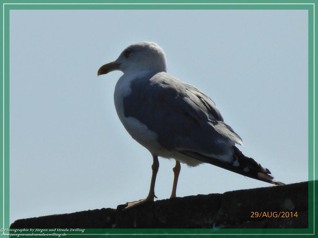 Philosophische Bildwanderung – eine Zeitreise Gardasee - Riva del Garda - Malcesine - Monte Baldo – Sirmione - Grotta Cascata del Varonel - Abschied über Ledrosee