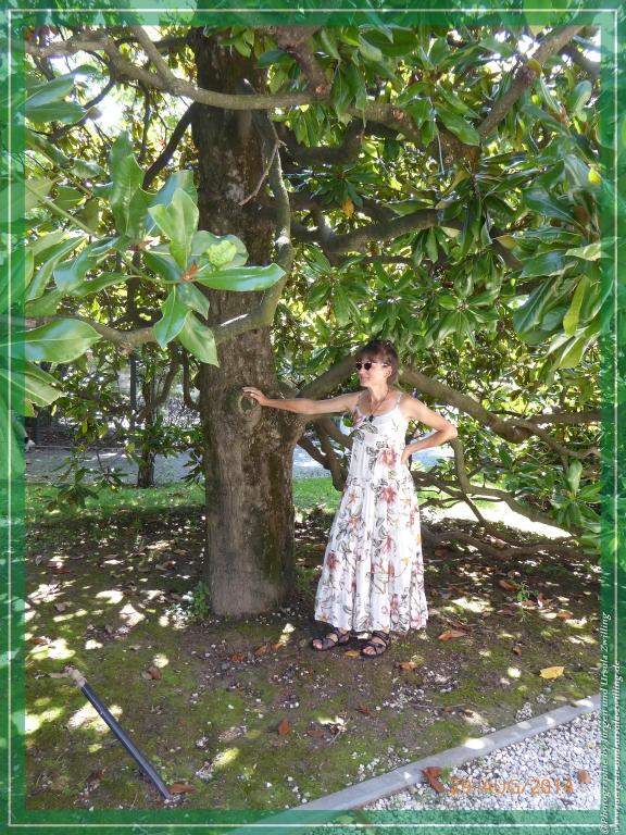 Philosophische Bildwanderung – eine Zeitreise Gardasee - Riva del Garda - Malcesine - Monte Baldo – Sirmione - Grotta Cascata del Varonel - Abschied über Ledrosee