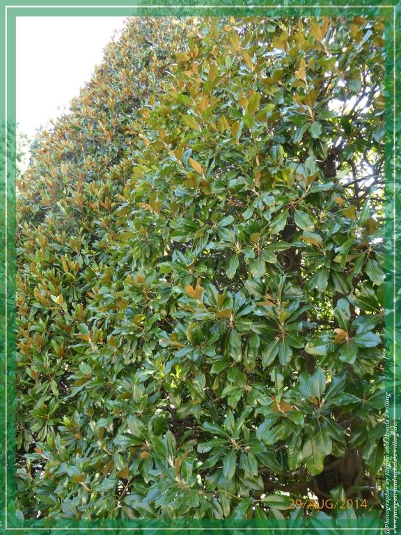 Philosophische Bildwanderung – eine Zeitreise Gardasee - Riva del Garda - Malcesine - Monte Baldo – Sirmione - Grotta Cascata del Varonel - Abschied über Ledrosee