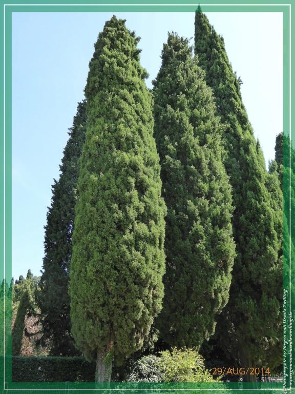 Philosophische Bildwanderung – eine Zeitreise Gardasee - Riva del Garda - Malcesine - Monte Baldo – Sirmione - Grotta Cascata del Varonel - Abschied über Ledrosee