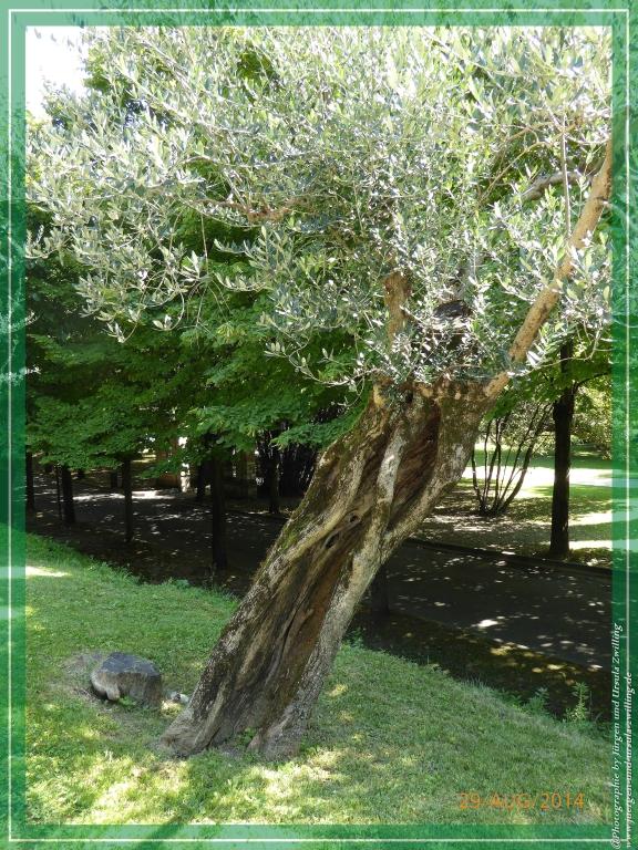 Philosophische Bildwanderung – eine Zeitreise Gardasee - Riva del Garda - Malcesine - Monte Baldo – Sirmione - Grotta Cascata del Varonel - Abschied über Ledrosee