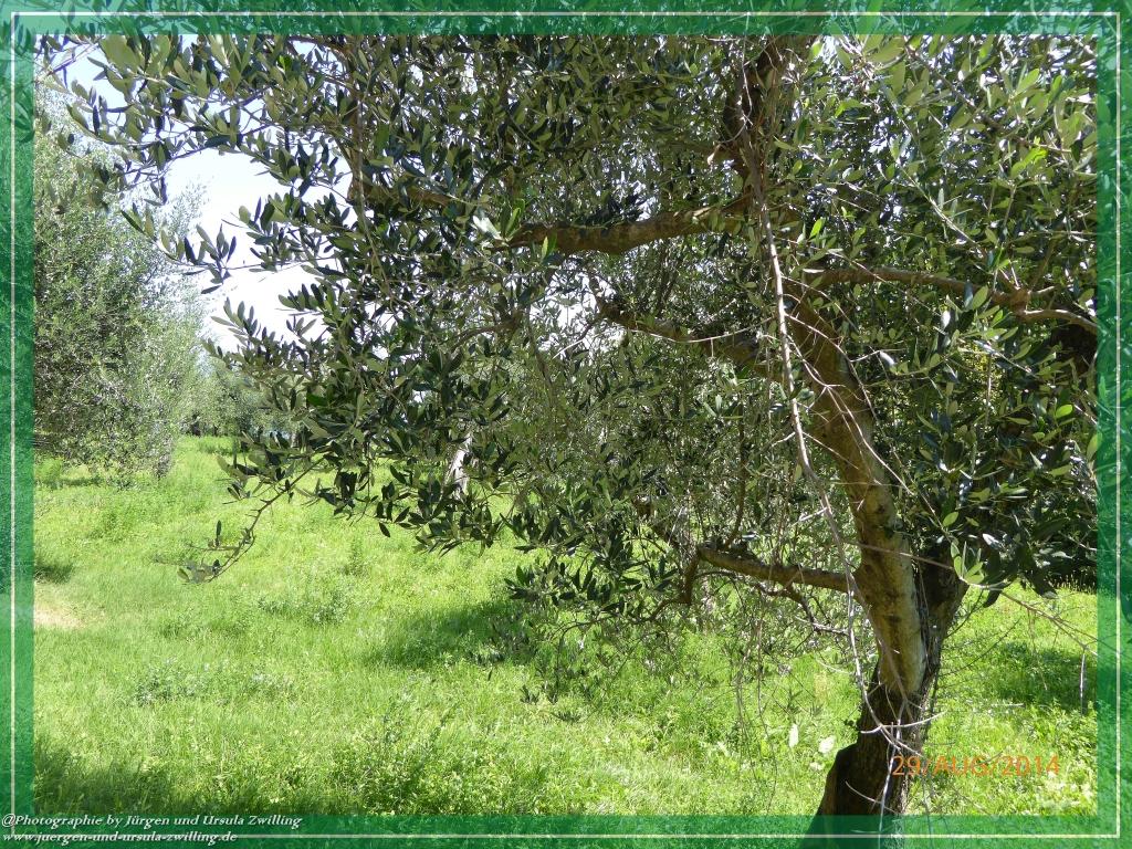 Philosophische Bildwanderung – eine Zeitreise Gardasee - Riva del Garda - Malcesine - Monte Baldo – Sirmione - Grotta Cascata del Varonel - Abschied über Ledrosee