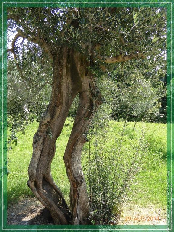 Philosophische Bildwanderung – eine Zeitreise Gardasee - Riva del Garda - Malcesine - Monte Baldo – Sirmione - Grotta Cascata del Varonel - Abschied über Ledrosee