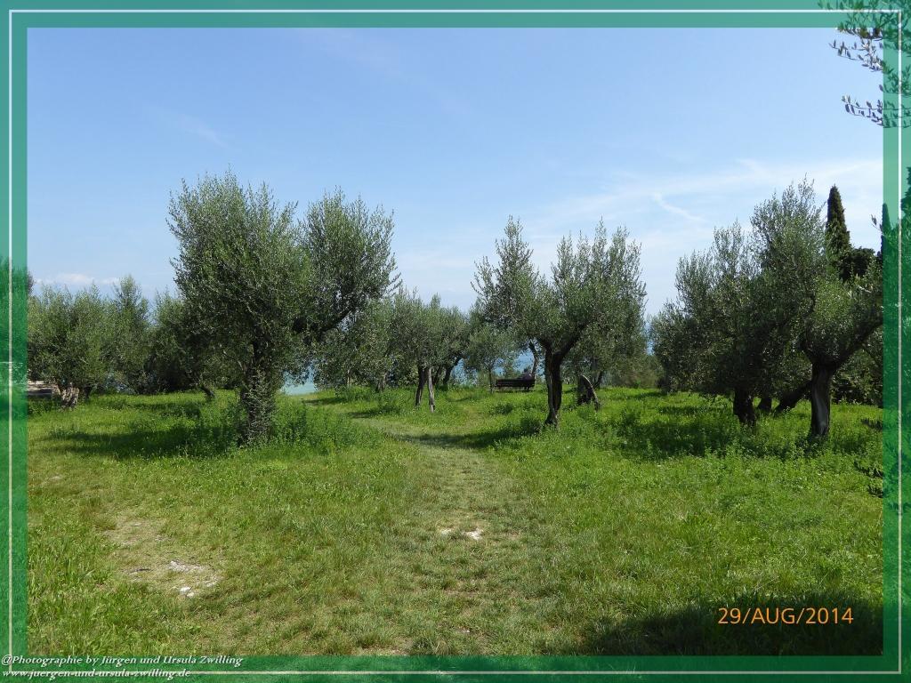 Philosophische Bildwanderung – eine Zeitreise Gardasee - Riva del Garda - Malcesine - Monte Baldo – Sirmione - Grotta Cascata del Varonel - Abschied über Ledrosee