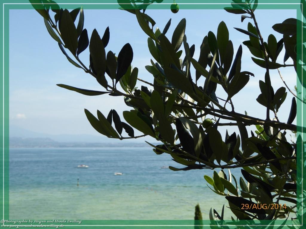 Philosophische Bildwanderung – eine Zeitreise Gardasee - Riva del Garda - Malcesine - Monte Baldo – Sirmione - Grotta Cascata del Varonel - Abschied über Ledrosee