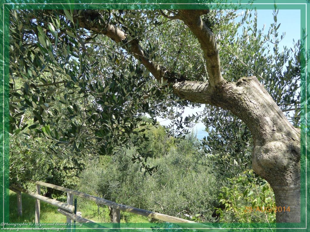 Philosophische Bildwanderung – eine Zeitreise Gardasee - Riva del Garda - Malcesine - Monte Baldo – Sirmione - Grotta Cascata del Varonel - Abschied über Ledrosee