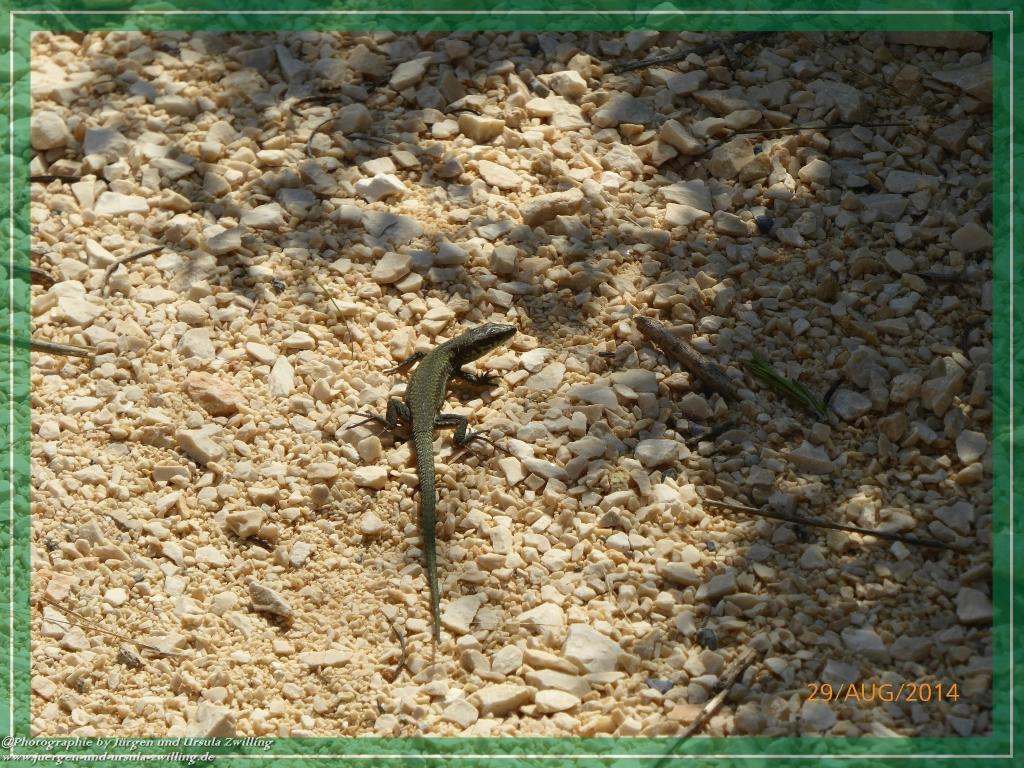 Philosophische Bildwanderung – eine Zeitreise Gardasee - Riva del Garda - Malcesine - Monte Baldo – Sirmione - Grotta Cascata del Varonel - Abschied über Ledrosee