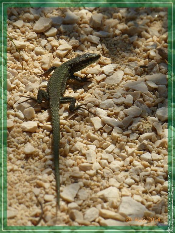 Philosophische Bildwanderung – eine Zeitreise Gardasee - Riva del Garda - Malcesine - Monte Baldo – Sirmione - Grotta Cascata del Varonel - Abschied über Ledrosee