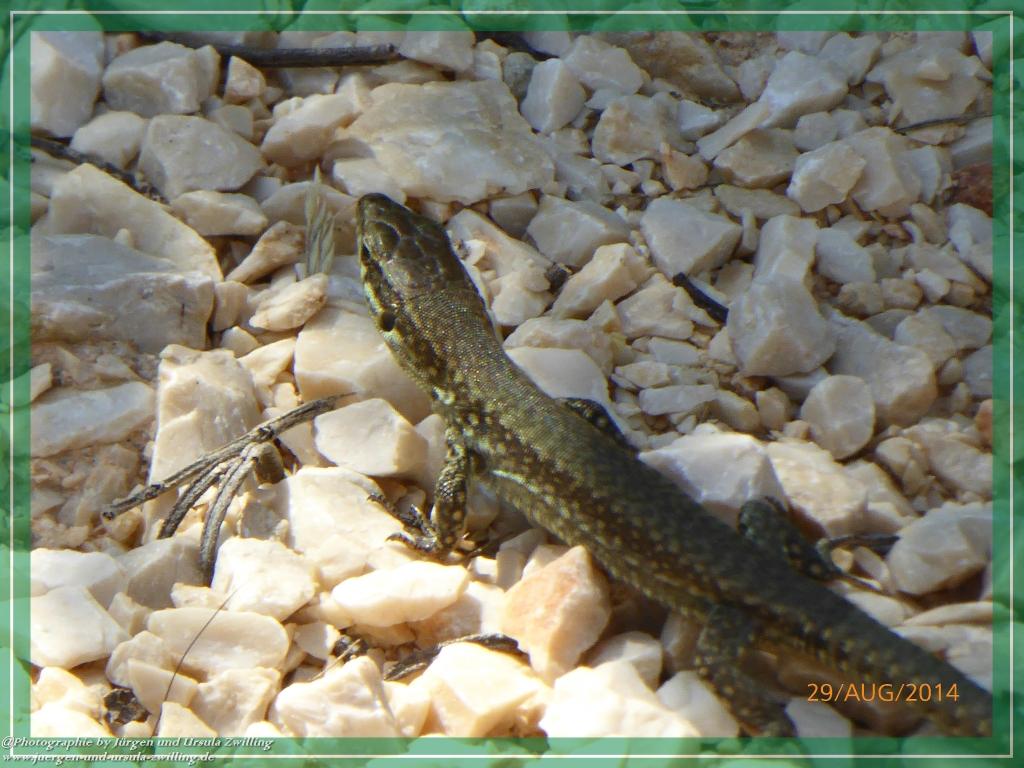 Philosophische Bildwanderung – eine Zeitreise Gardasee - Riva del Garda - Malcesine - Monte Baldo – Sirmione - Grotta Cascata del Varonel - Abschied über Ledrosee