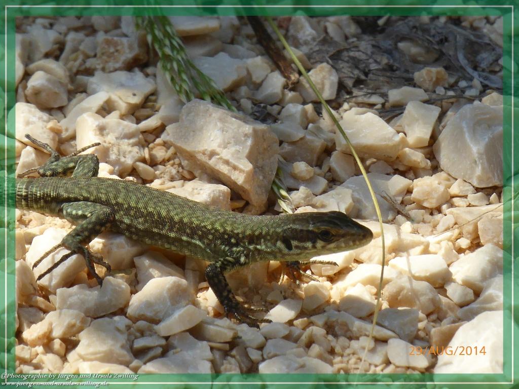 Philosophische Bildwanderung – eine Zeitreise Gardasee - Riva del Garda - Malcesine - Monte Baldo – Sirmione - Grotta Cascata del Varonel - Abschied über Ledrosee