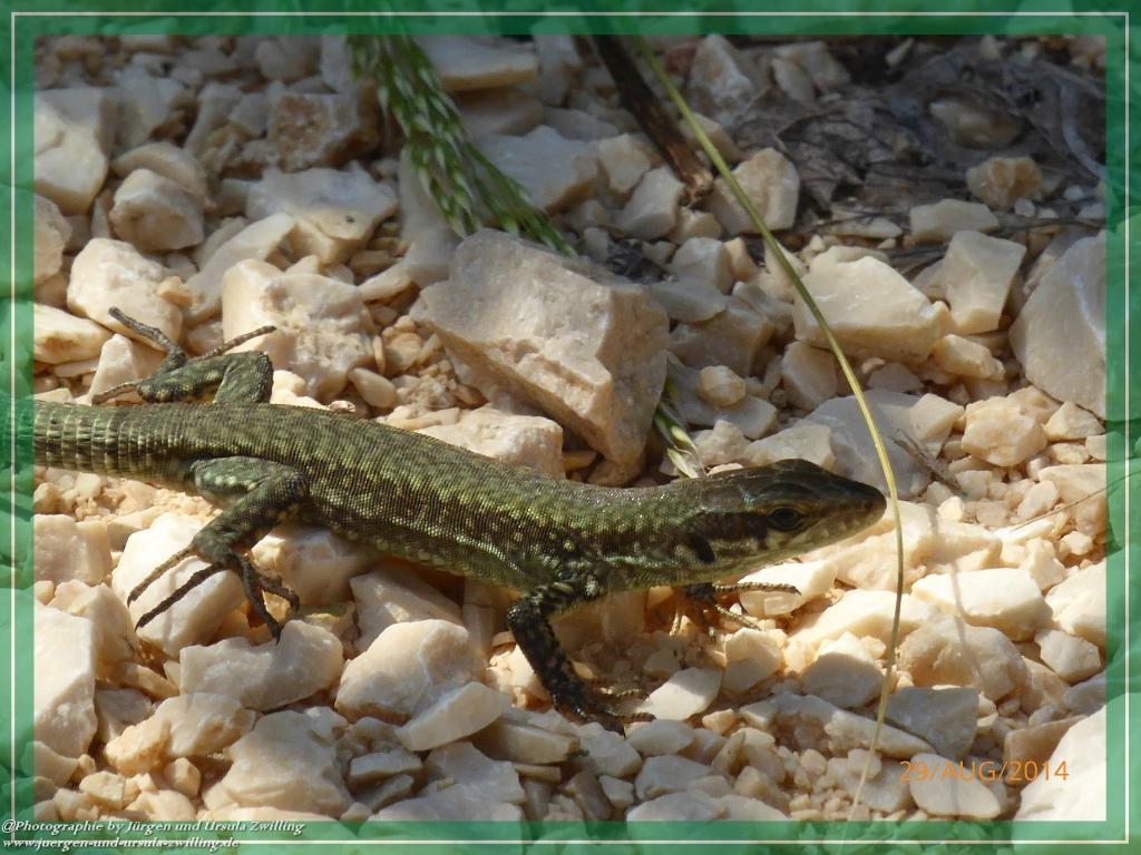 Philosophische Bildwanderung – eine Zeitreise Gardasee - Riva del Garda - Malcesine - Monte Baldo – Sirmione - Grotta Cascata del Varonel - Abschied über Ledrosee