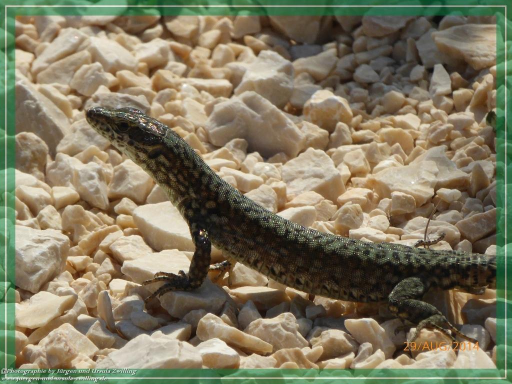 Philosophische Bildwanderung – eine Zeitreise Gardasee - Riva del Garda - Malcesine - Monte Baldo – Sirmione - Grotta Cascata del Varonel - Abschied über Ledrosee
