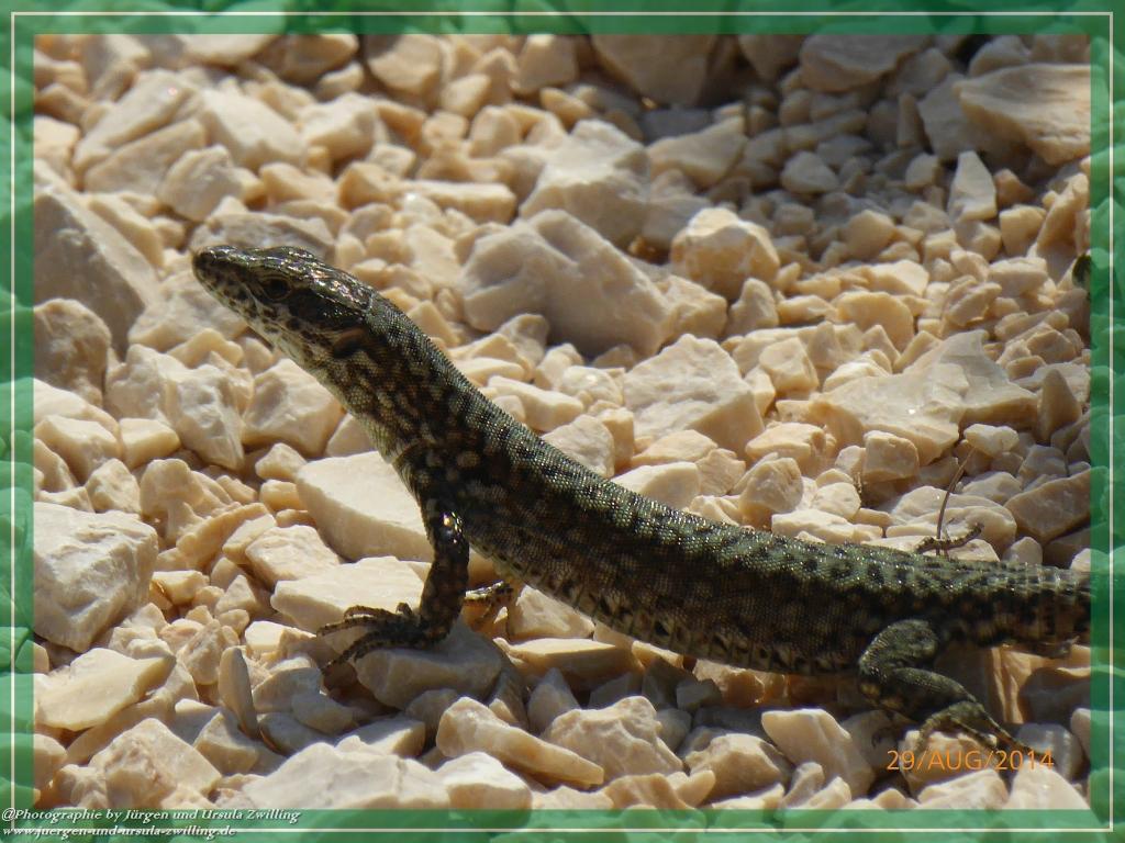 Philosophische Bildwanderung – eine Zeitreise Gardasee - Riva del Garda - Malcesine - Monte Baldo – Sirmione - Grotta Cascata del Varonel - Abschied über Ledrosee