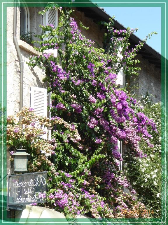 Philosophische Bildwanderung – eine Zeitreise Gardasee - Riva del Garda - Malcesine - Monte Baldo – Sirmione - Grotta Cascata del Varonel - Abschied über Ledrosee