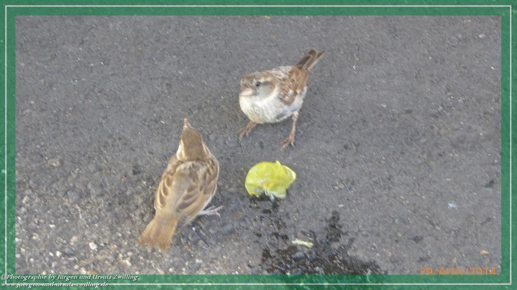 Philosophische Bildwanderung – eine Zeitreise Gardasee - Riva del Garda - Malcesine - Monte Baldo – Sirmione - Grotta Cascata del Varonel - Abschied über Ledrosee