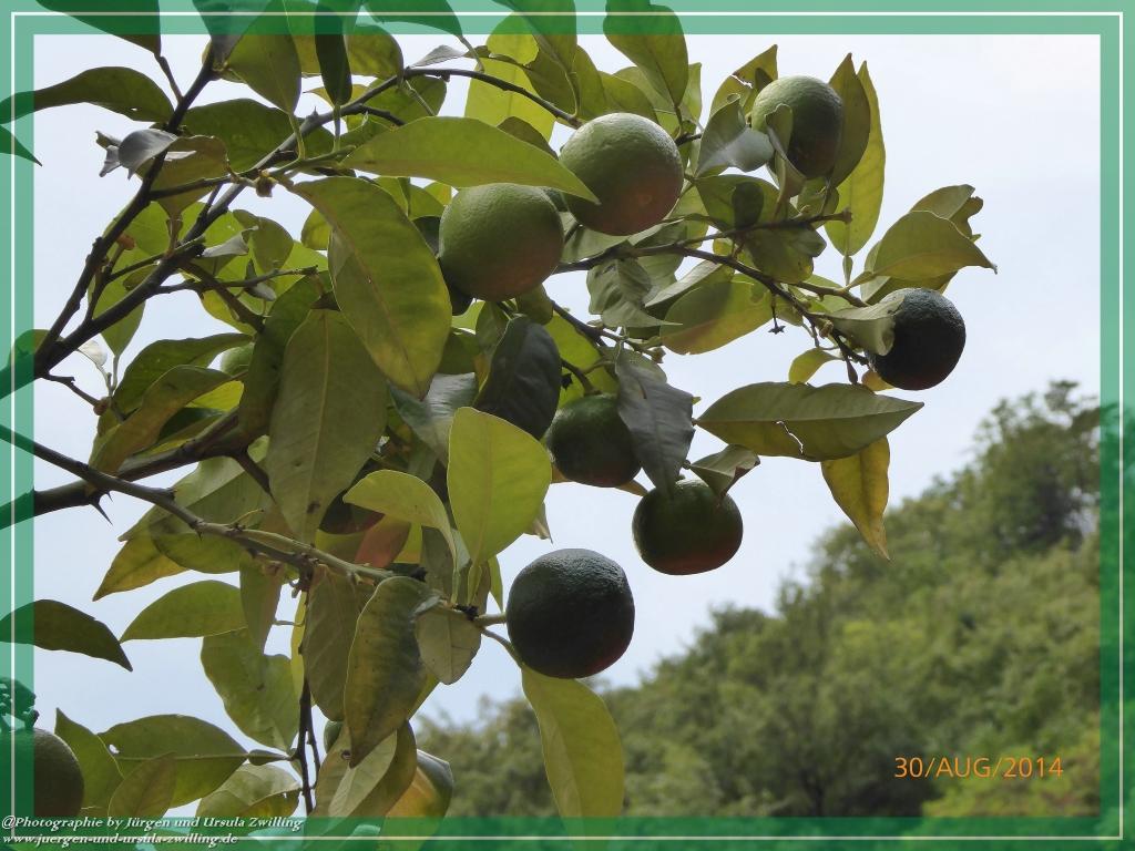 Philosophische Bildwanderung – eine Zeitreise Gardasee - Riva del Garda - Malcesine - Monte Baldo – Sirmione - Grotta Cascata del Varonel - Abschied über Ledrosee