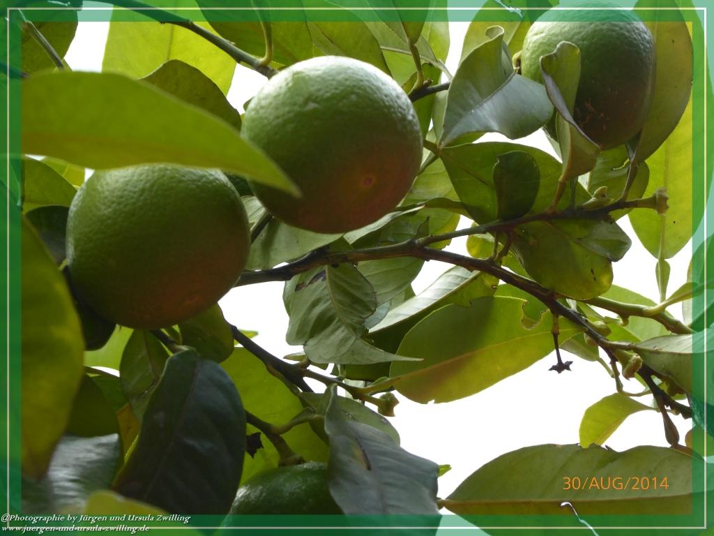 Philosophische Bildwanderung – eine Zeitreise Gardasee - Riva del Garda - Malcesine - Monte Baldo – Sirmione - Grotta Cascata del Varonel - Abschied über Ledrosee