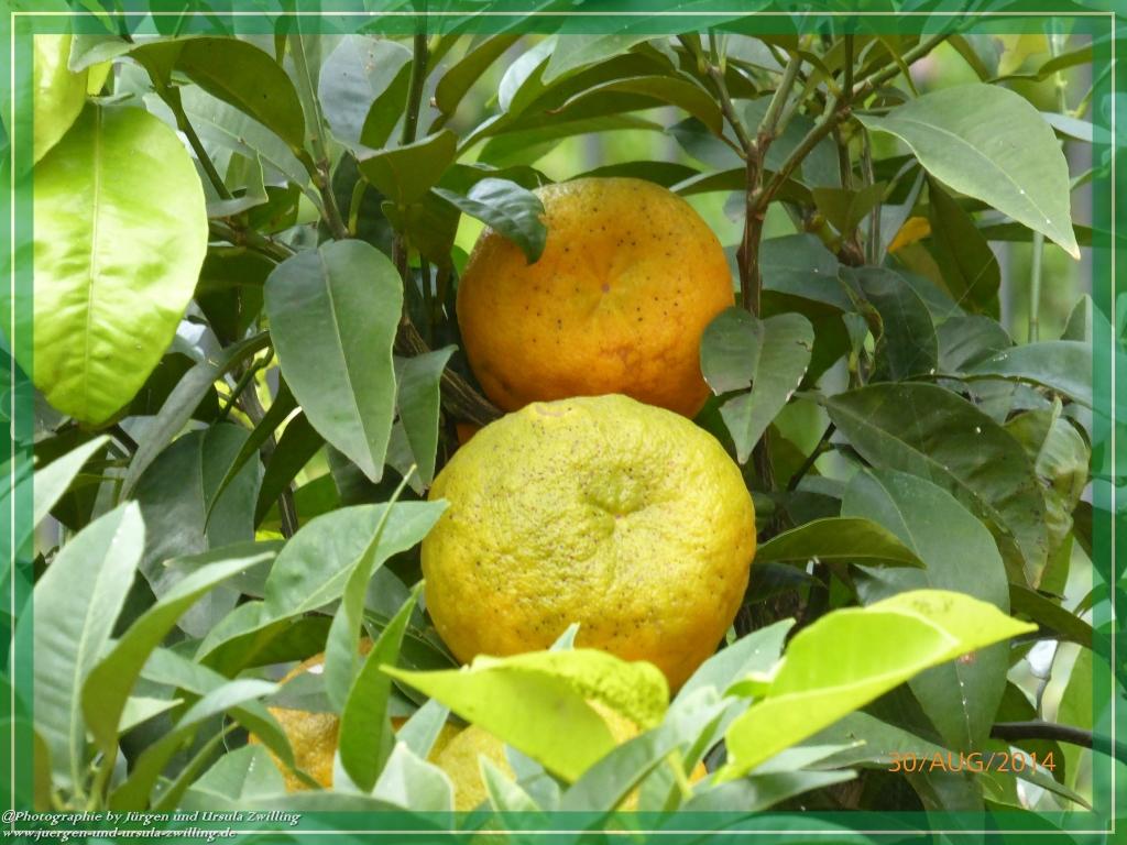 Philosophische Bildwanderung – eine Zeitreise Gardasee - Riva del Garda - Malcesine - Monte Baldo – Sirmione - Grotta Cascata del Varonel - Abschied über Ledrosee