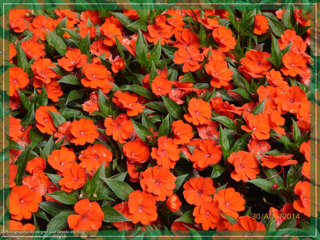 Philosophische Bildwanderung – eine Zeitreise Gardasee - Riva del Garda - Malcesine - Monte Baldo – Sirmione - Grotta Cascata del Varonel - Abschied über Ledrosee