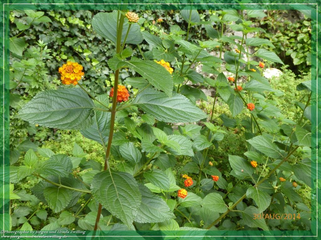 Philosophische Bildwanderung – eine Zeitreise Gardasee - Riva del Garda - Malcesine - Monte Baldo – Sirmione - Grotta Cascata del Varonel - Abschied über Ledrosee