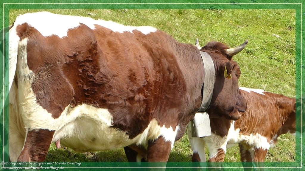 Philosophische Bildwanderung - Klammbachalm und Nemesalm - Sexten - Dolomitien