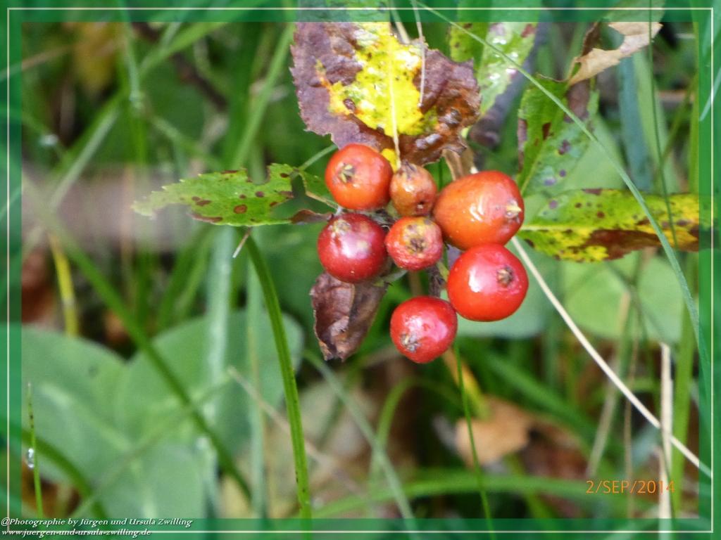Philosophische Bildwanderung Drei Zinnen Hütte -Rifugio Antonio Locatelli - Sexten - Dolomitien