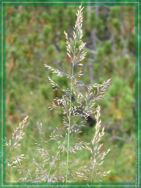 Philosophische Bildwanderung Drei Zinnen Hütte -Rifugio Antonio Locatelli - Sexten - Dolomitien